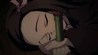 ���निमी KY मालिका 23